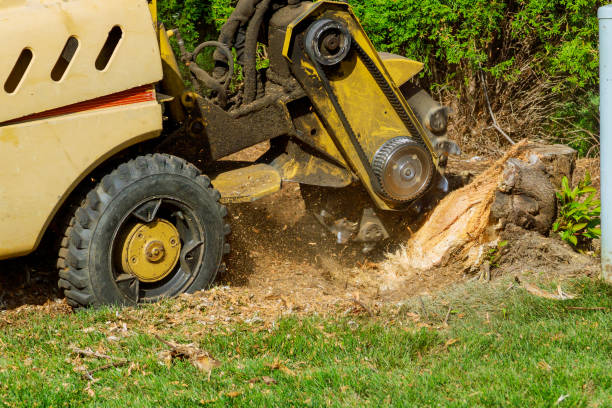 Best Lawn Drainage Solutions  in Dawson Springs, KY